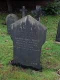 image of grave number 556414